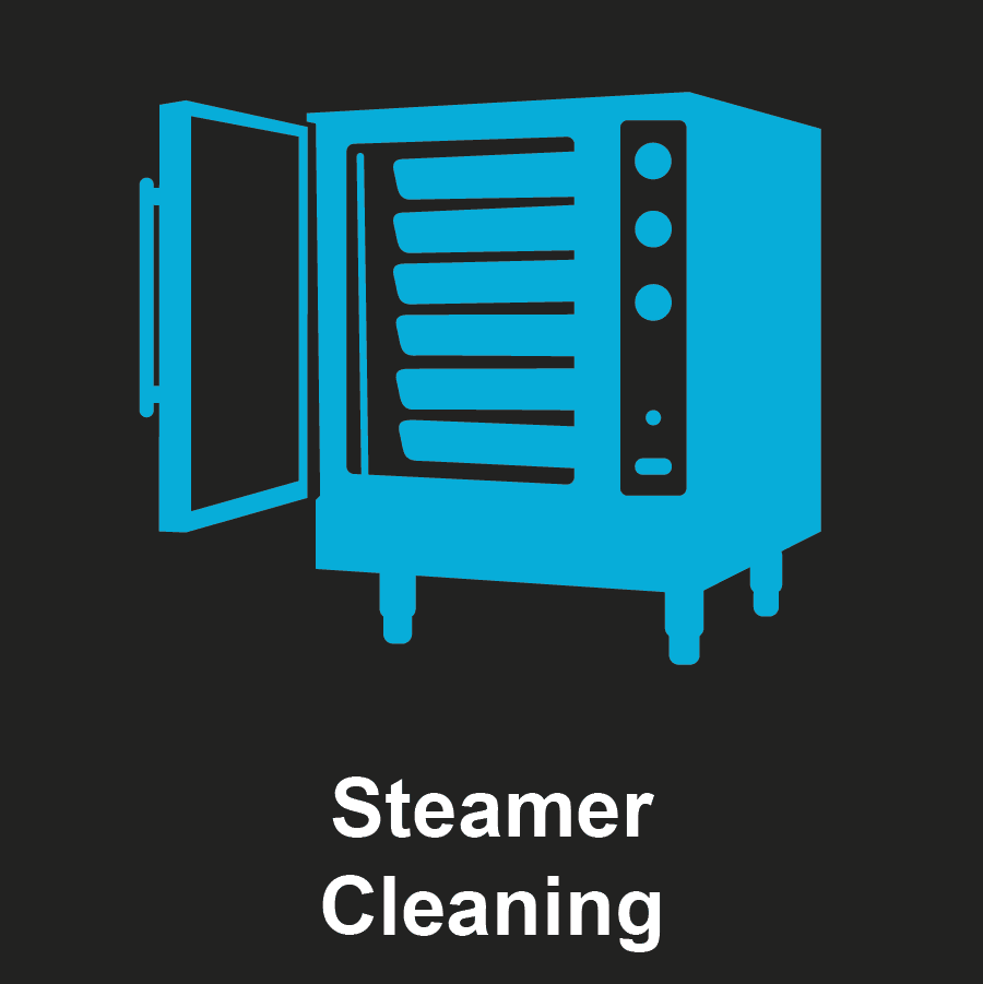 Steamer Cleaning